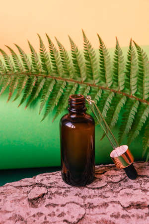 Bottle of cosmetic oil with a dropper on a green background with fern leaves and tree bark. Spa and wellness concept. Front viewの写真素材