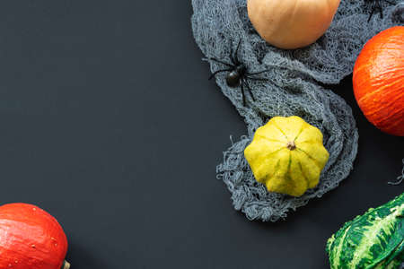 Different pumpkins on black background, spiderweb and spiders, top view. Flat lay, copy space. Helloween concept.の写真素材