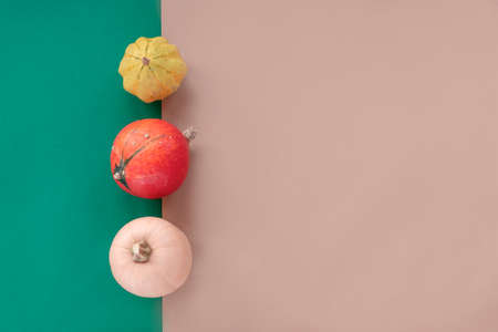 Pumpkins and squashes of different shapes on green and beige background. Top view, flat lay. Thanksgiving concept.の写真素材