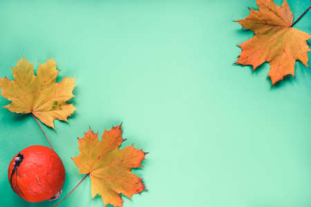Autumn flat lay with maple leaves and orange pumpkin on green background. Top view, flat lay, copy space.の写真素材