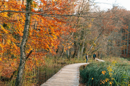 Tourists walking along the wooden path in Plitvice Lakes National park, Croatia. Motion blur