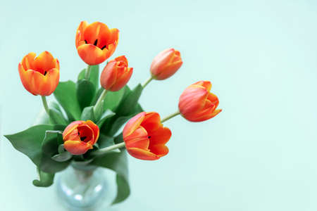 Bouquet of orange tulips on a light blue background. Selective focus. Spring holidays concept.の写真素材