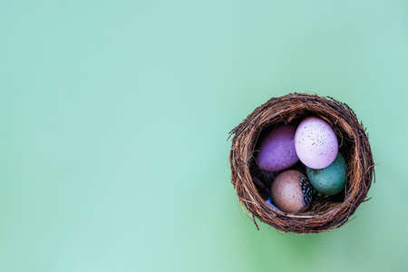 Painted eggs in the nest. Easter concept. Top view, flat lay, copy space.の写真素材