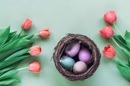 Painted eggs in the nest and tulips on green background. Easter concept. Top view, flat lay, copy space.の写真素材