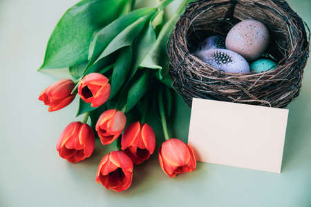 Painted eggs in the nest and bunch of tulips, Easter concept. Top view, mock up.の写真素材