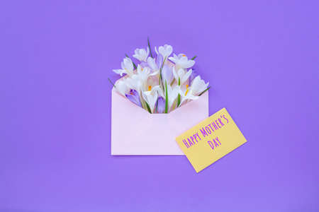 Pink paper envelope with crocuses and words Happy Mothers day, purple background. Top view, flat lay. Spring concept.の写真素材