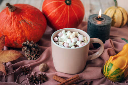 Autumn still life with cocoa mug and marshmallows, pink scarf, pumpkins, leaves, candle and spices. Close upの写真素材