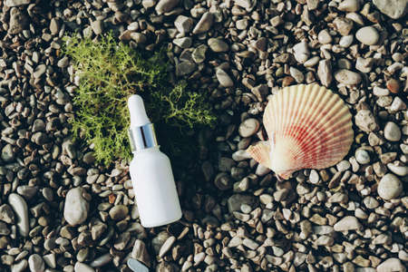 Bottle of serum or cosmetic oil on pebble beach with seaweed and seashell. Natural anti aging cosmetics concept. Top view, flat lay, copy space.の写真素材