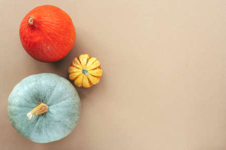 Three different pumpkins on light beige background. Top view, flat lay, copy space.の写真素材