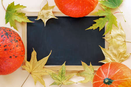 Chalkboard and orange hokkaido pumpkins, autumn leaves. Mock up. Halloween concept. Top view, flat lay.の写真素材