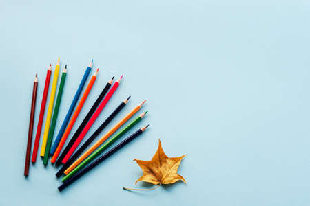 Color pencils and yelow leaf on blue background, top view. School supplies, back to school concept. Flat lay, copy space.の写真素材