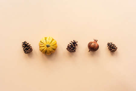 Minimal autumnal layout. Pine cones, pumpkin and dried pomegranate fruit on pastel orange background. Top view, flat lay.の写真素材