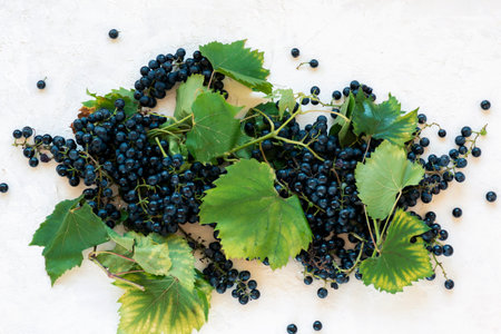 Blue grapes with leaves on white textured background. Top view, flat lay