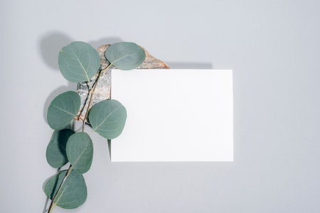 White blank sheet on natural stone and eucalyptus leaves on gray background. Top view, flat lay, mock up.の写真素材