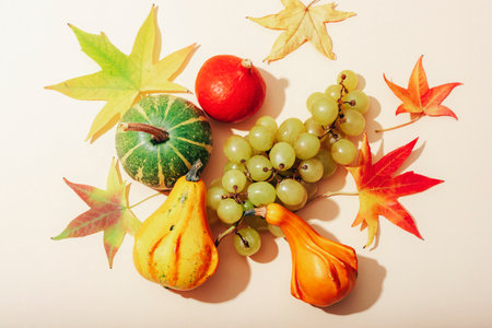 Small pumpkins, grapes and autumn leaves in sunlight on beige background. Thanksgiving concept. Top view, flat lay, copy space.の写真素材