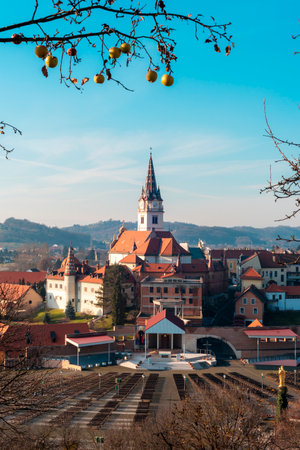 Beautiful view of Shrine of Saint Mary, Marija Bistrica, Croatia.の写真素材