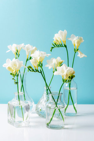 Freesia white flowers in glass vases on white table against blue wallの写真素材
