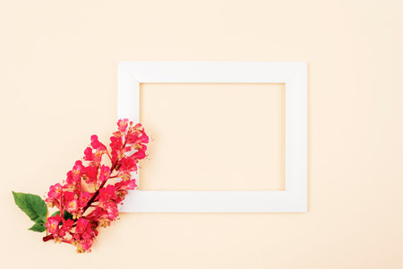 Blank picture frame and Aesculus Carnea flower on neutral background. Holiday concept. Top view,...