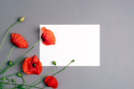 Blank paper and red poppy flowers on grey background. Holiday concept, greeting card, invitation, mockup. Top view, flat layの写真素材