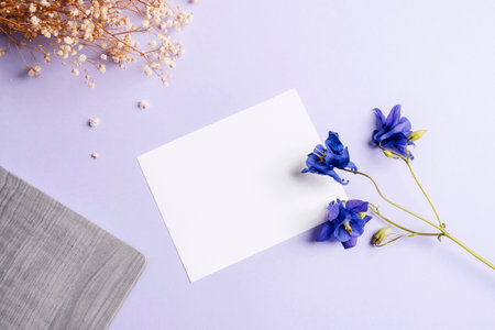 Blank card, notepad and blue Aquilegia Alpina flowers on purple table. Top view, flat lay, mockup.の写真素材