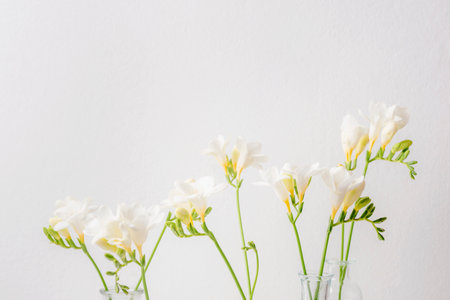 Freesia white flowers in glass vases on white background. Selective focus, copy space.の写真素材