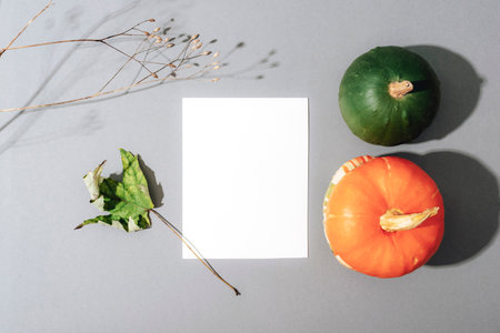 Mockup with blank card, colorful pumpkins, dry leaf and branch on grey background. Top view, flat layの写真素材