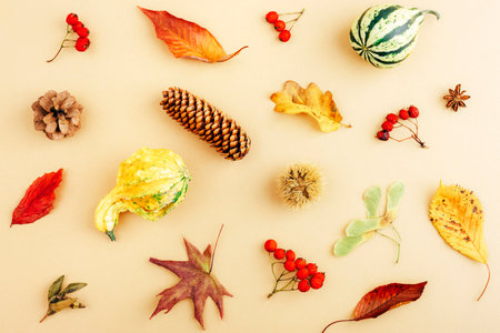 Autumnal layout made of red berries and yellow leaves, chestnut, cones and pumpkins on beige background. Autumn, fall, thanksgiving day concept. Top view, flat layの写真素材