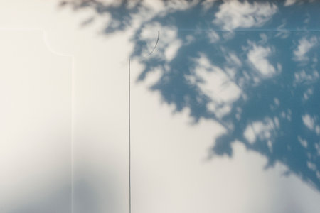 Silhouette shadow of natural tree branch on white wall. Copy space for text. Blurred defocused...