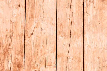 Old shabby wooden door background, texture. Demonstrating color of the year 2024 Peach Fuzz.の写真素材