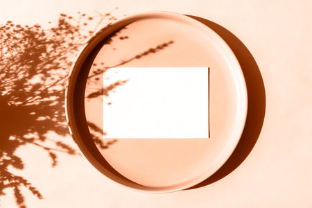 Plate, shadow of flowers on peachy background in sunlight and blank business, greeting card, invitation mockup. Long shadows. Top view, flat lay, mockup. Color of the Year 2024 Peach Fuzzの写真素材