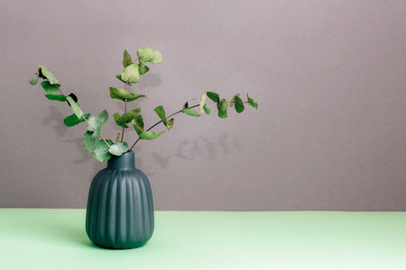 Eucalyptus branches in vase on green table against gray wall background. Home decor concept. Copy space.の写真素材
