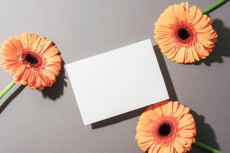 Three yellow gerbera flowers and blank card on gray background with sharp shadows. Top view, flat lay, mockup.の写真素材