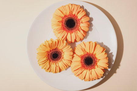 Yellow gerbera flowers in round plate in sunlight. Top view.の写真素材