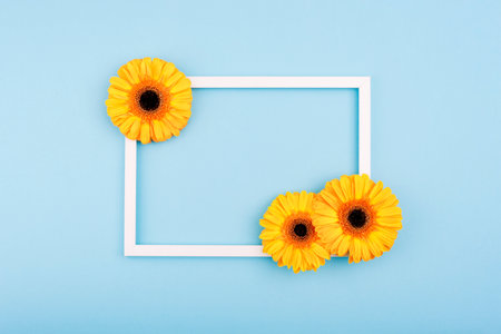Empty picture frame with gerbera flowers on blue pastel background. Greeting card template with copy space. Holiday concept.の写真素材