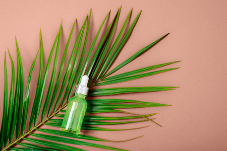 Green facial skin care cosmetic bottle on palm leaf. Top view, flat lay. Trendy color of the year 2025 - Mocha Mousseの写真素材