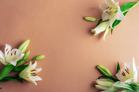 White lilies with green leaves arranged on a beige background, symbolizing purity and elegance. Top view, flat lay, copy spaceの写真素材