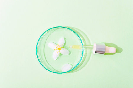 Dropper pipette and petri dish with jasmine flower and drops of oil on light green background. Cosmetic laboratory research concept. Top view, flat layの写真素材