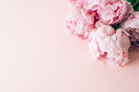 Pink peony flowers on pastel pink background with copy space. Top view, flat layの写真素材