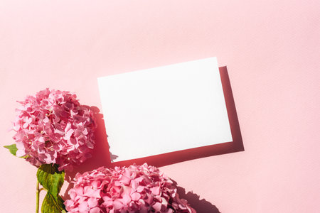 Blank white card with pink hydrangea flowers on pastel pink background with hard shadows. Top view, flat lay, mockupの写真素材