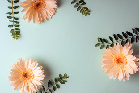 Yellow gerbera flowers and green leaves on light green background. Holiday greeting card concept. Top view, flat lay, copy spaceの写真素材