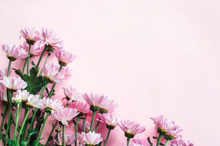 Bouquet of pink daisies on pastel background. Holiday greeting card, copy spaceの写真素材