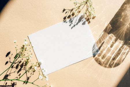Blank card, gypsophila flowers and glass shadow on neutral background. Top view, flat lay, mockupの写真素材
