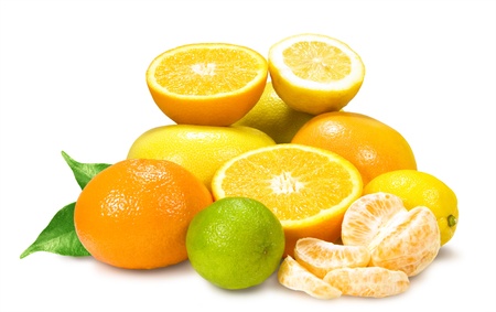 citrus fruits on a white backgroundの写真素材