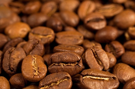 Closeup of coffee beans with focus on oneの写真素材
