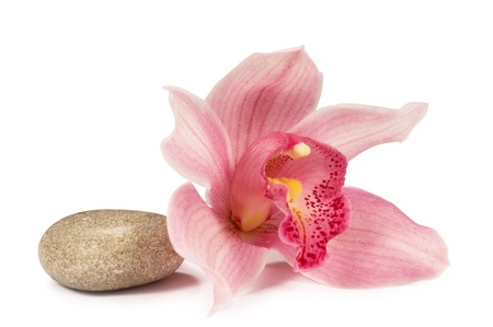 tropical orchid with a stone for a spa on a white backgroundの写真素材