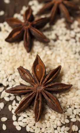 Star anise and sesame close up
の写真素材