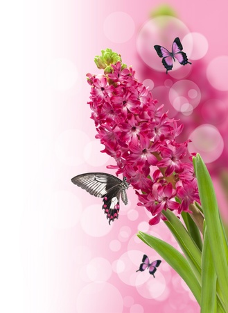 floral background with butterflyの写真素材