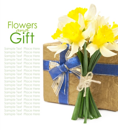 bouquet of daffodils and gift box on a white の写真素材