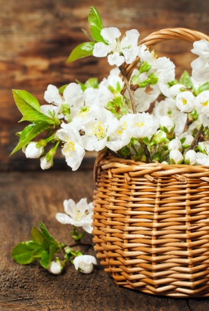 bouquet of cherry in a basket on a wooden
の写真素材
