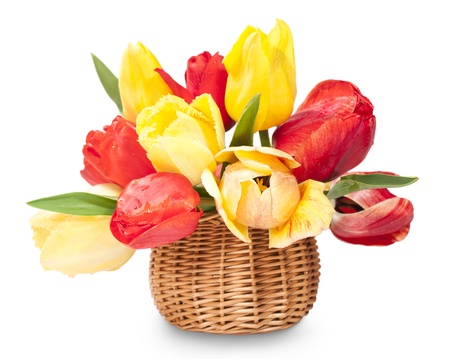 bouquet of colorful tulips  in a basket isolated on white
の写真素材